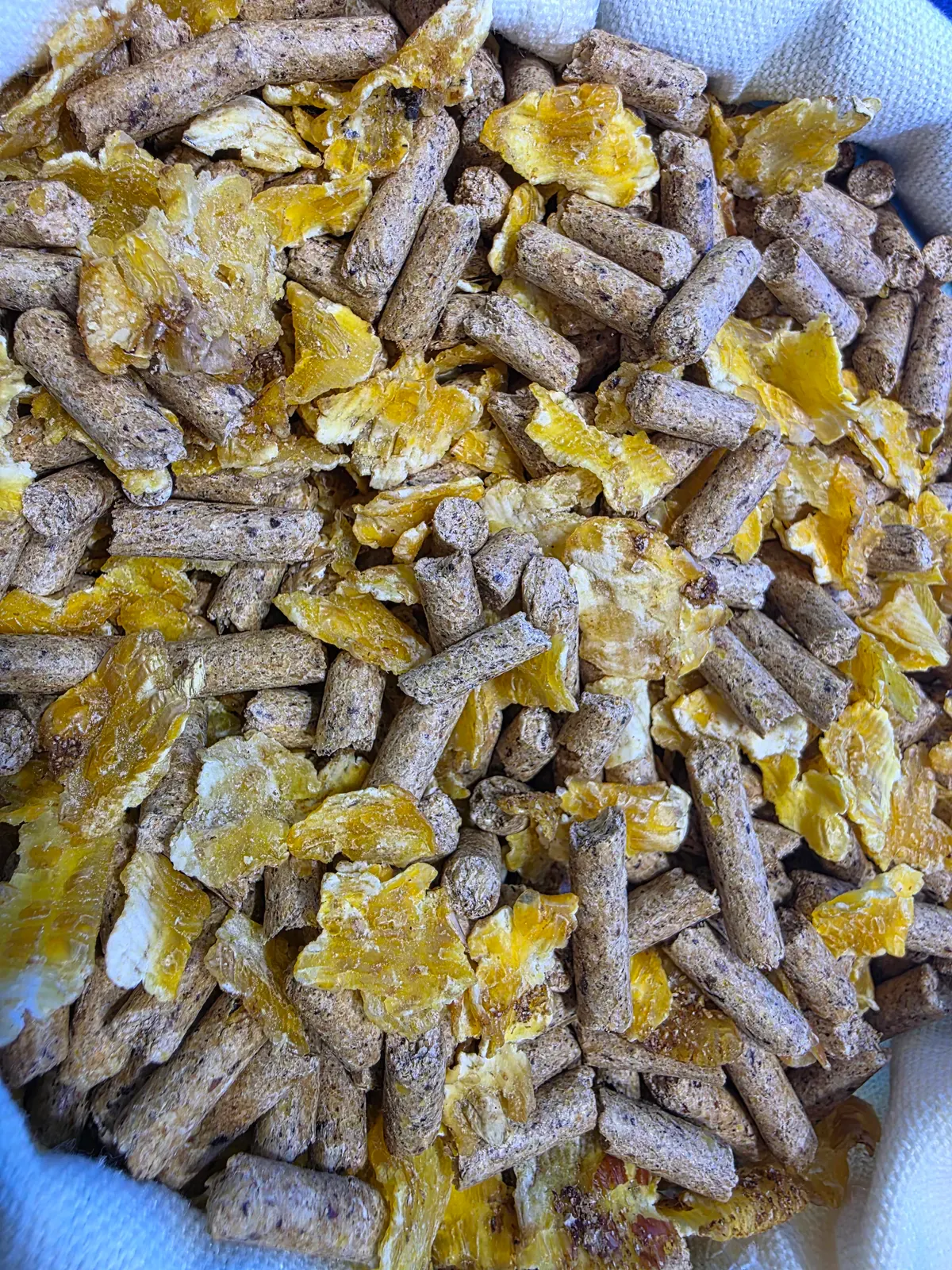 Animal Feed