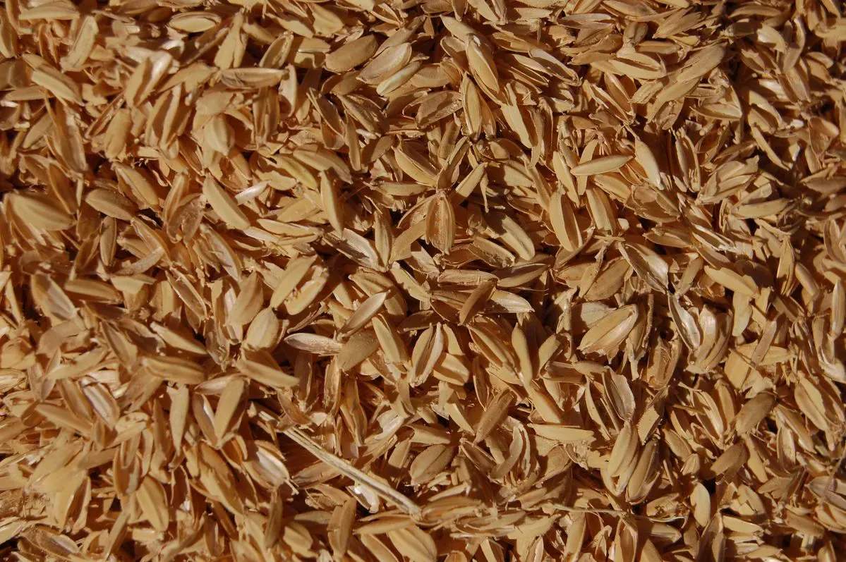 BellaEx hammer-mill section background