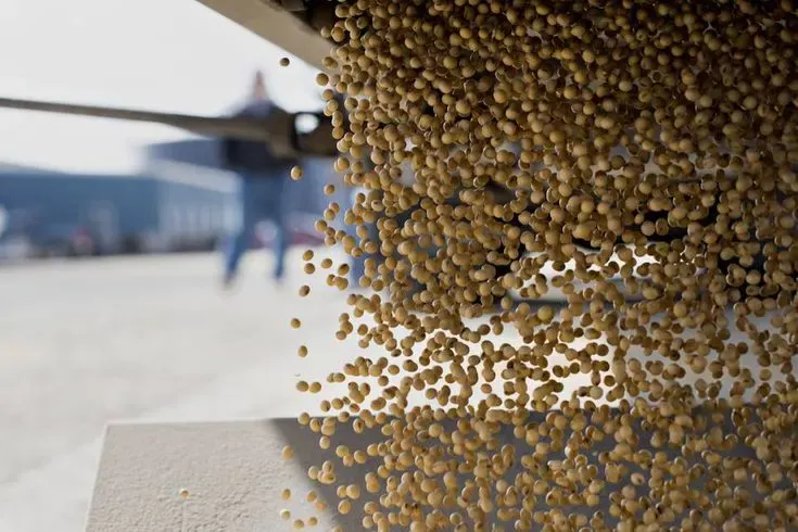 BellaEx screw-conveyor section background