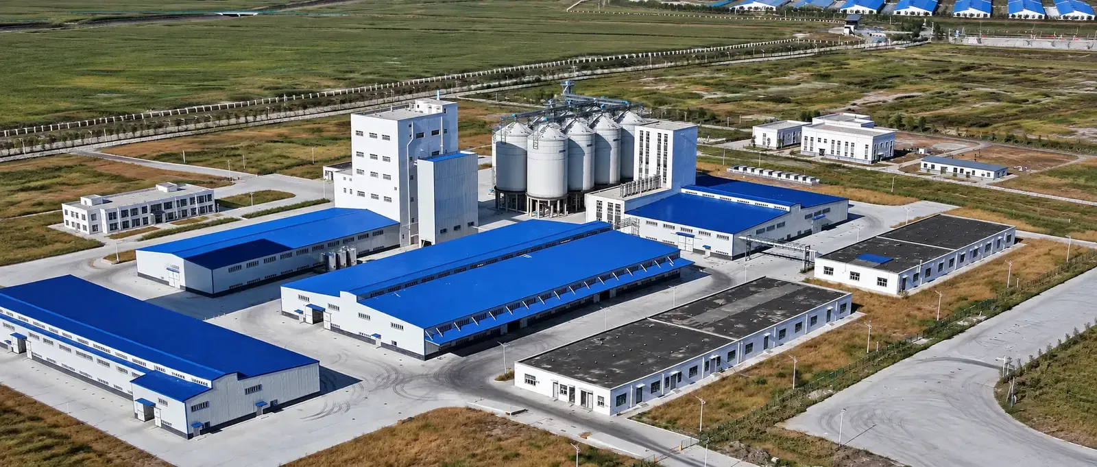 BellaEx steam-flaked-corn-production-line section background