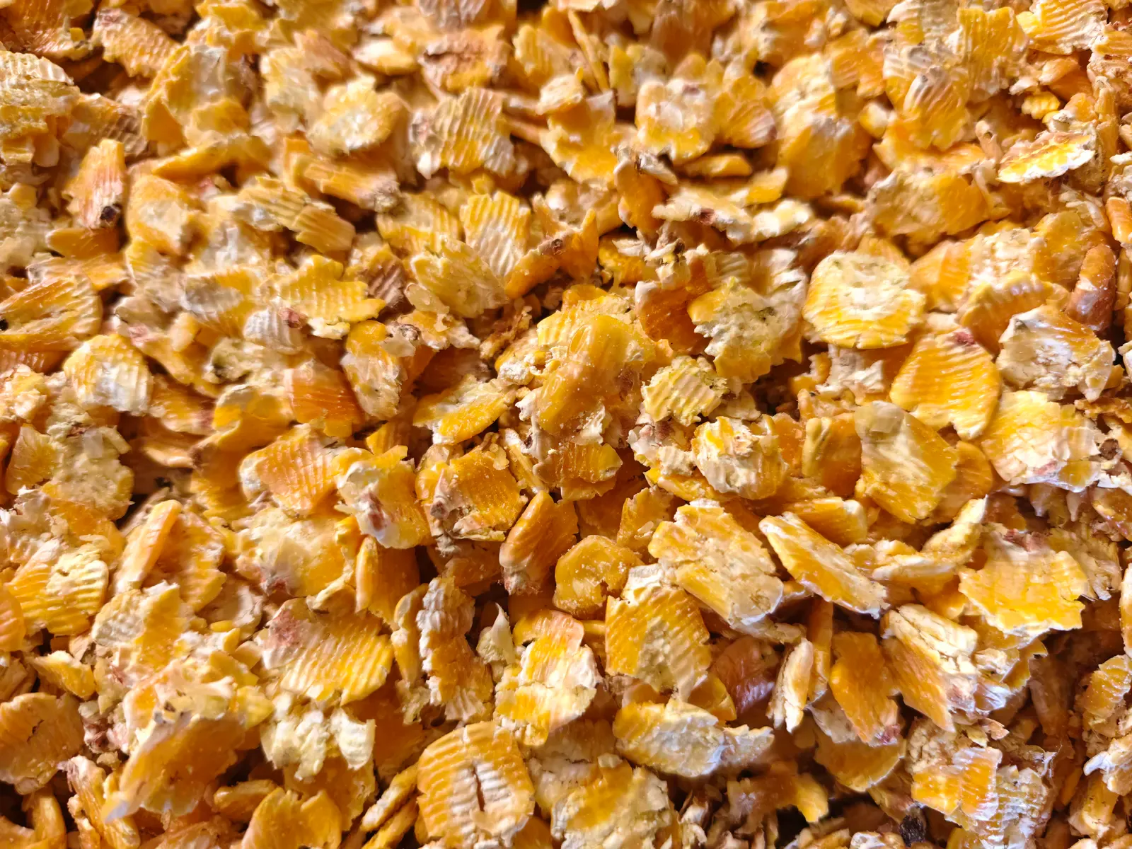 BellaEx water-cooled-grain-flaking-mills section background