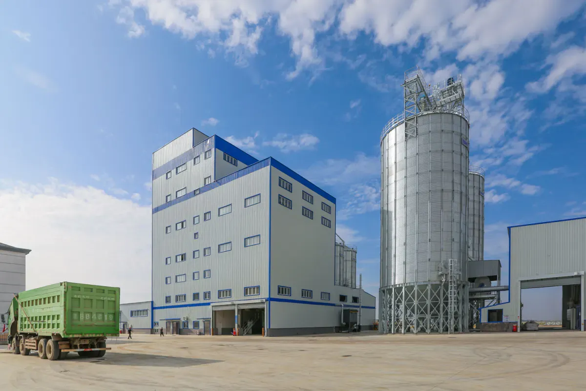 China Modern Dairy Holdings Ltd.