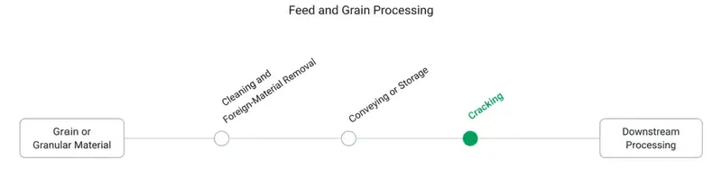 Feed and grain processing flow showing cracking after cleaning and conveying, before downstream processing.