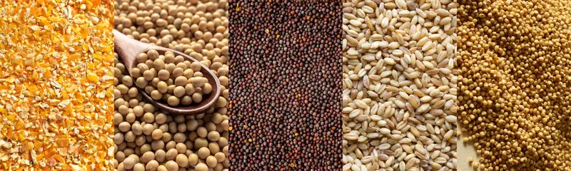 Layer Feed Crusher