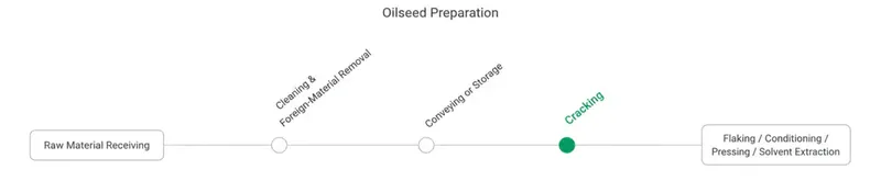 Oilseed preparation flow showing cracking after cleaning and conveying, before flaking, conditioning, pressing, or solvent extraction.