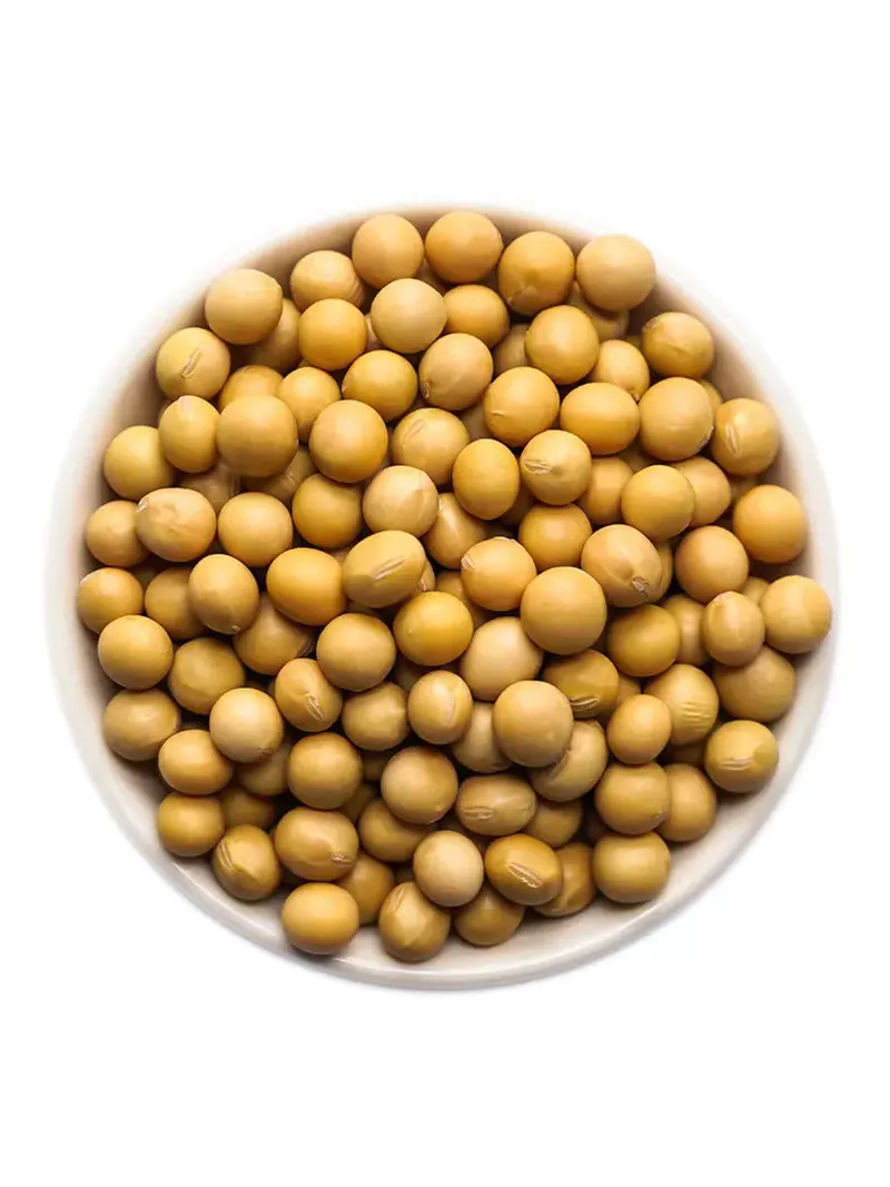 Soya bean