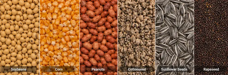 Soybeans, corn, peanuts, cottonseed, sunflower seeds, and rapeseed shown as typical granular materials for C-Series cracking applications.