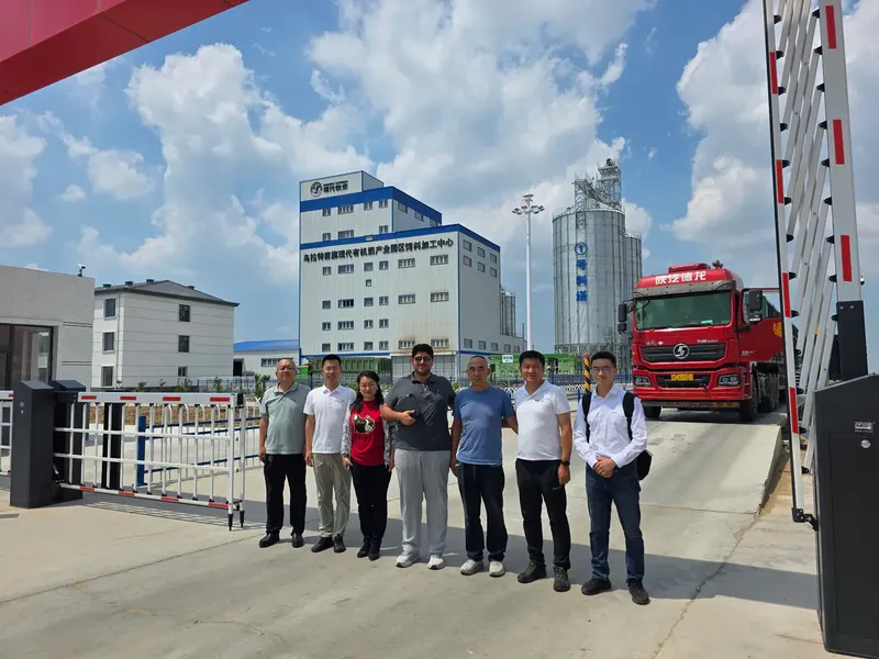 Modern Dairy - China