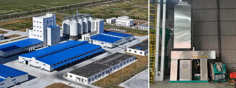 Steam-Flaked Corn Production Line for Ruminant Feed