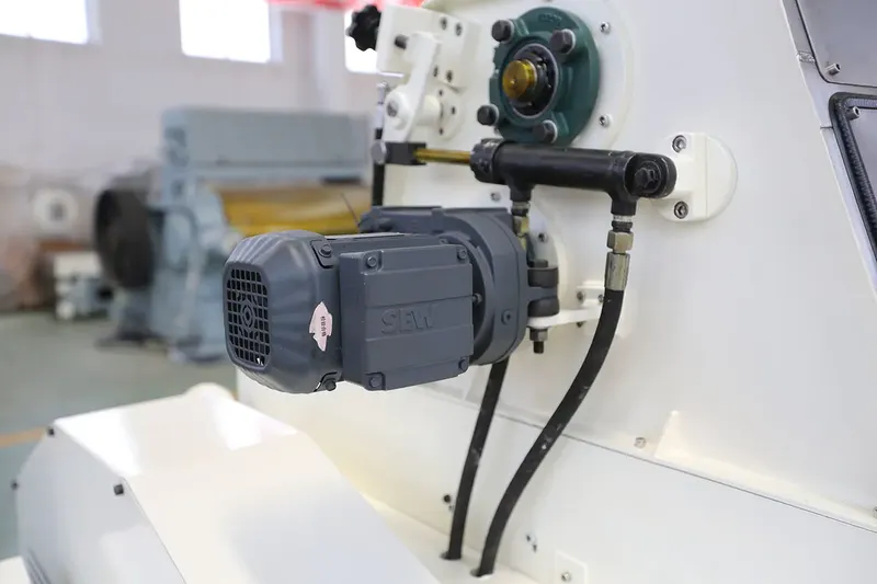 The Bellaex grain flaking mill employs an engineered feed module—an SEW-driven