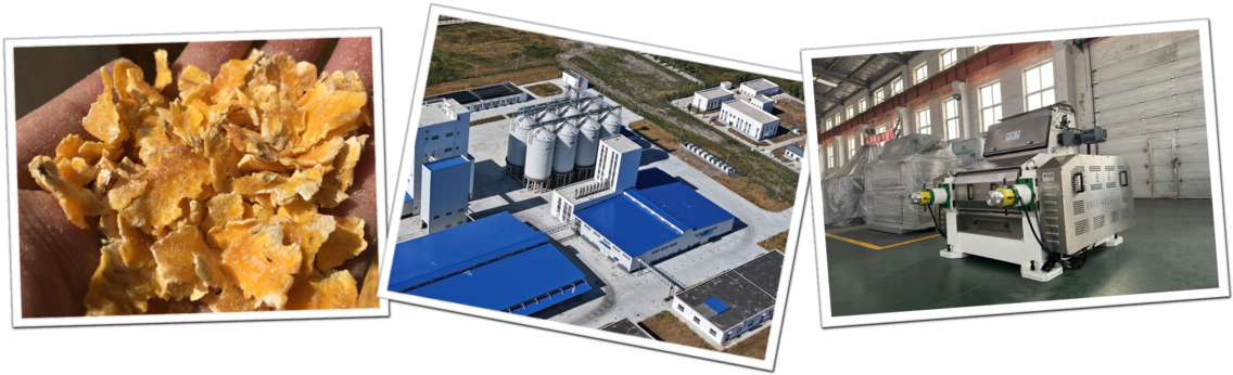 Corn Flakes Factory Flaking Mill